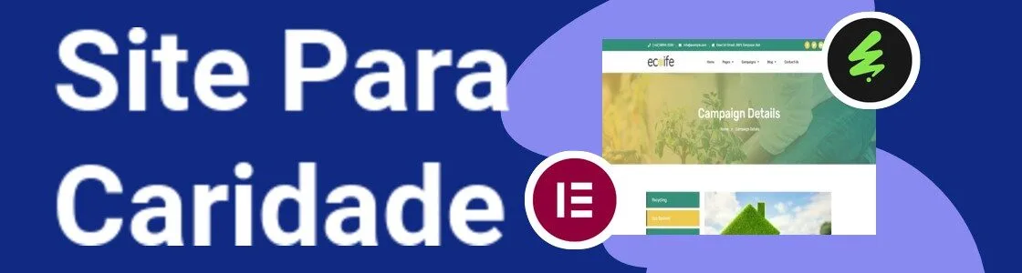Wordpress completo caridade RN23798